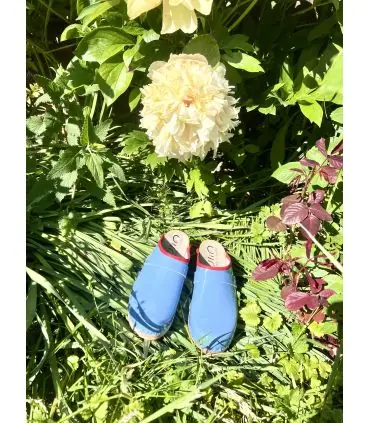 Wooden Swedish women lack leather clogs