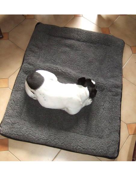 Hundekissen Matte