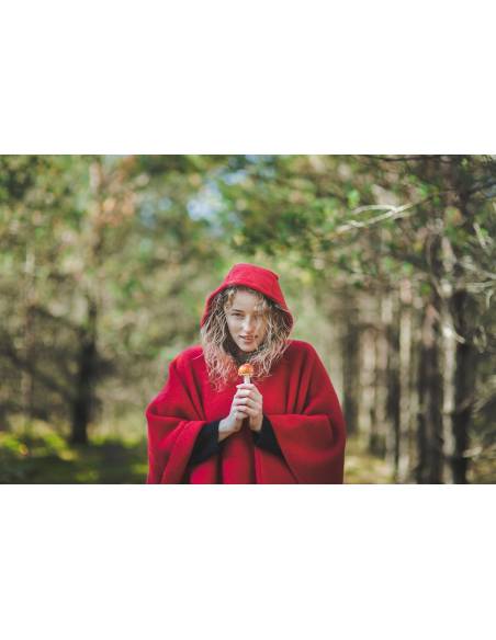 Pullover Nordic Frau Schurwolle und Muster