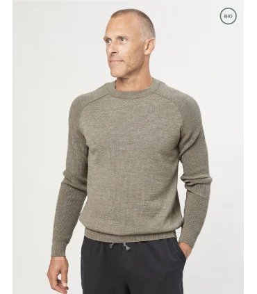 Pull tricoté pure laine mérinos pour homme gris et vert 