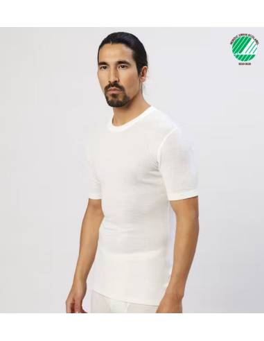 Grün oder grau Herren T-shirt reine Merinowolle