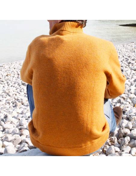 Pull col montant zip Homme en pure laine vierge Jaune