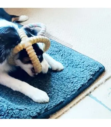 Dog cushion mat 100% wool