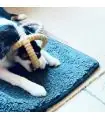 Hundekissen Matte