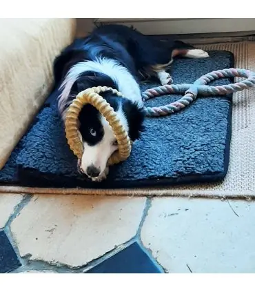 Dog cushion mat 100% wool