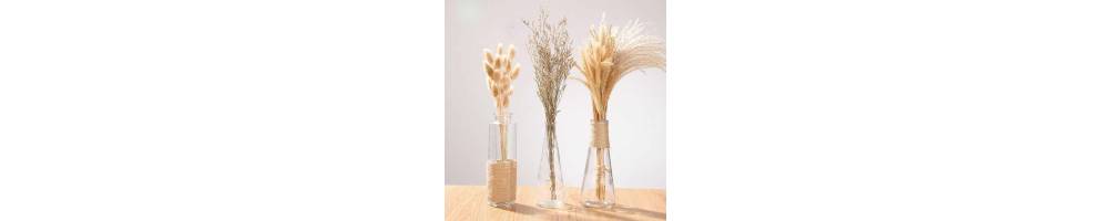 Decoration