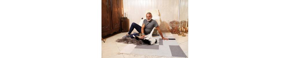 MÉRINOS, pantalons, robes, jupes en laine